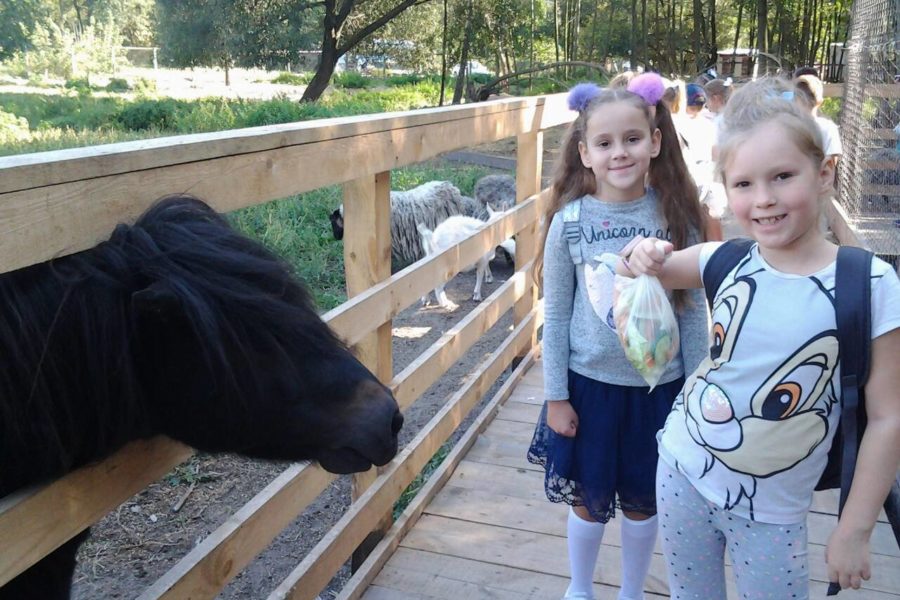 «Долина страусів»