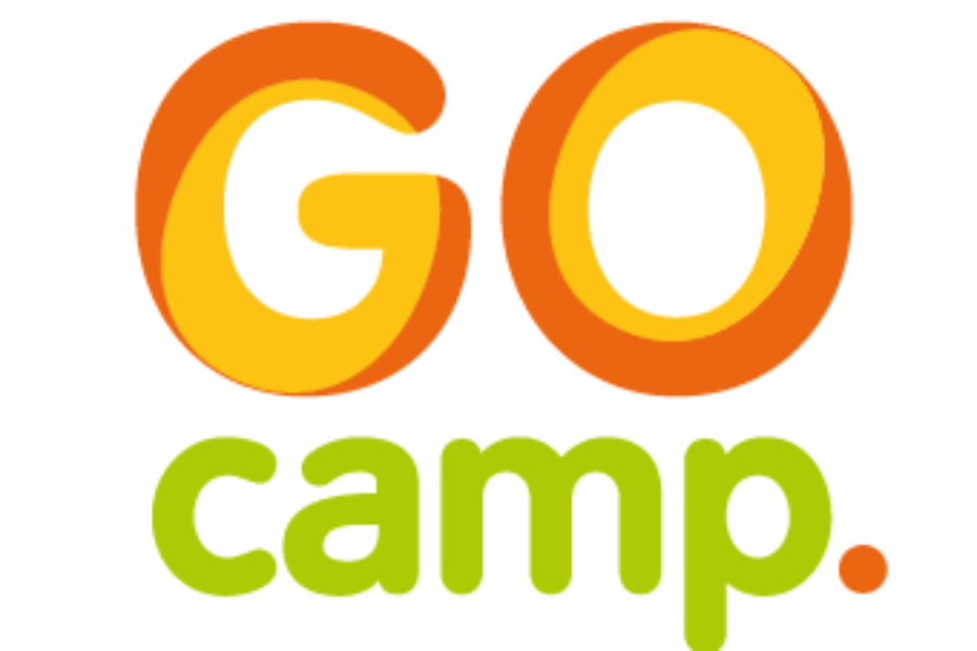 Перемога в GoCamp-2019»!!!