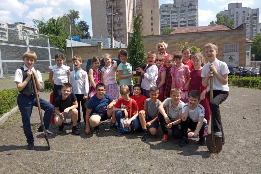 Озеленення подвір’я